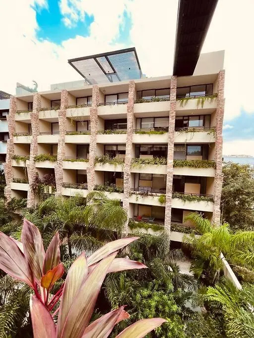 Апартаменты Gran Estudio A Unas Cuadras De La Playa Плая-дель-Кармен